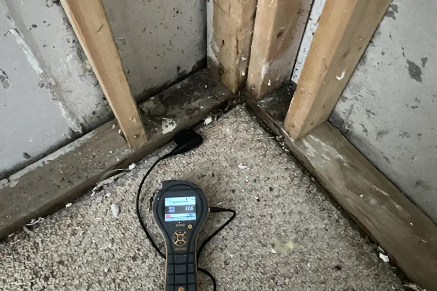 mold found in the corner of the room from water damage